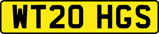 WT20HGS