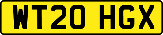 WT20HGX