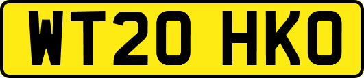 WT20HKO