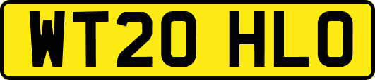 WT20HLO