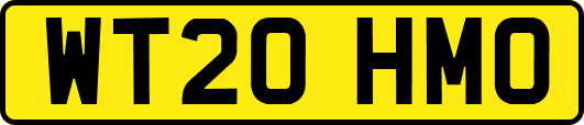 WT20HMO