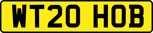 WT20HOB