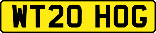 WT20HOG