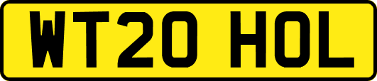 WT20HOL
