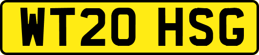 WT20HSG