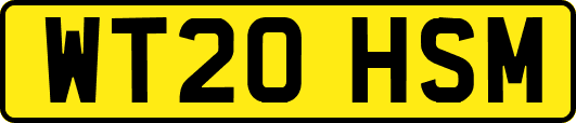 WT20HSM