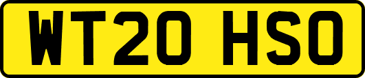 WT20HSO