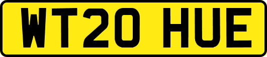 WT20HUE