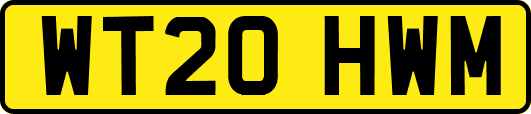 WT20HWM