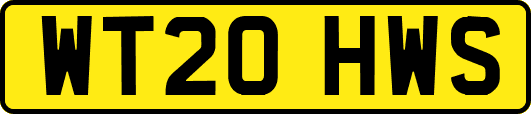 WT20HWS