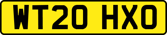 WT20HXO