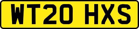 WT20HXS
