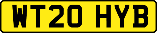 WT20HYB