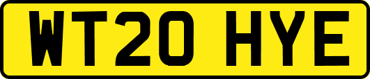 WT20HYE