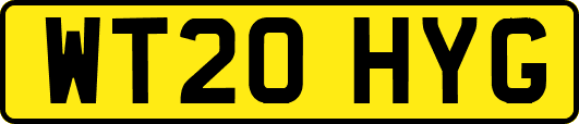 WT20HYG