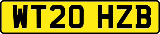 WT20HZB