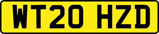 WT20HZD