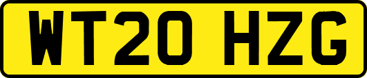 WT20HZG