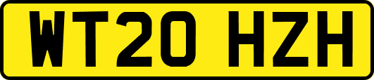 WT20HZH