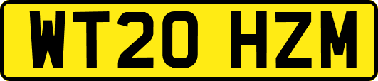 WT20HZM