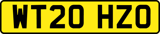 WT20HZO