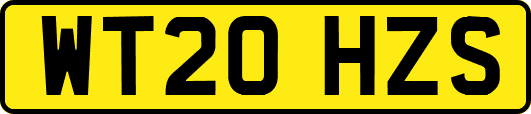 WT20HZS
