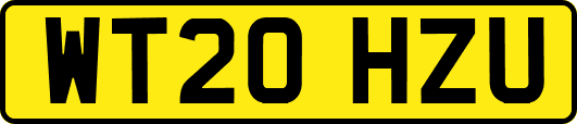 WT20HZU