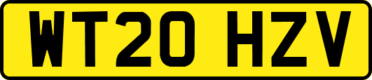 WT20HZV