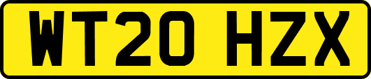 WT20HZX