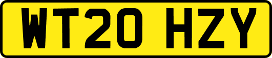 WT20HZY