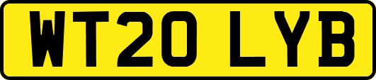 WT20LYB