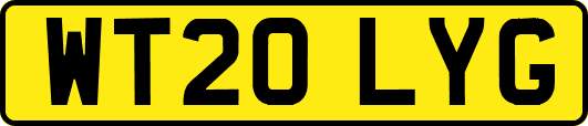 WT20LYG