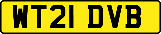 WT21DVB
