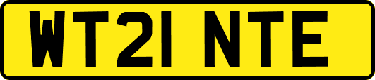 WT21NTE