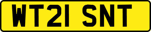 WT21SNT