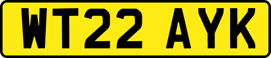 WT22AYK