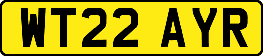 WT22AYR