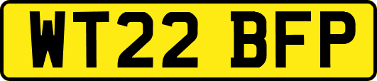 WT22BFP