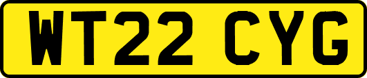 WT22CYG