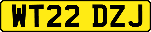 WT22DZJ
