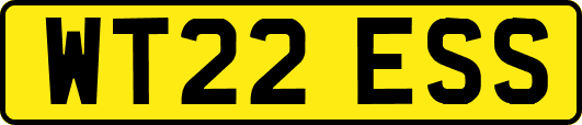 WT22ESS