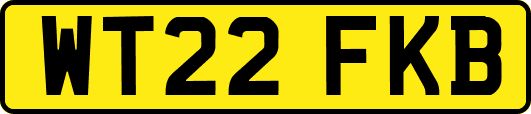 WT22FKB
