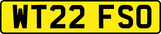 WT22FSO