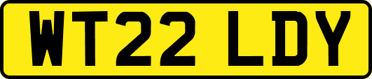 WT22LDY