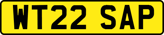 WT22SAP