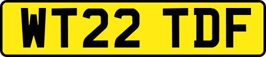 WT22TDF