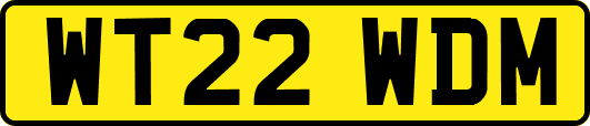 WT22WDM