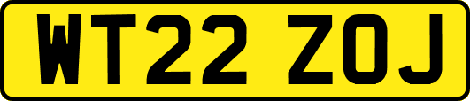 WT22ZOJ