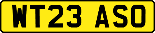 WT23ASO