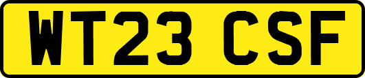 WT23CSF
